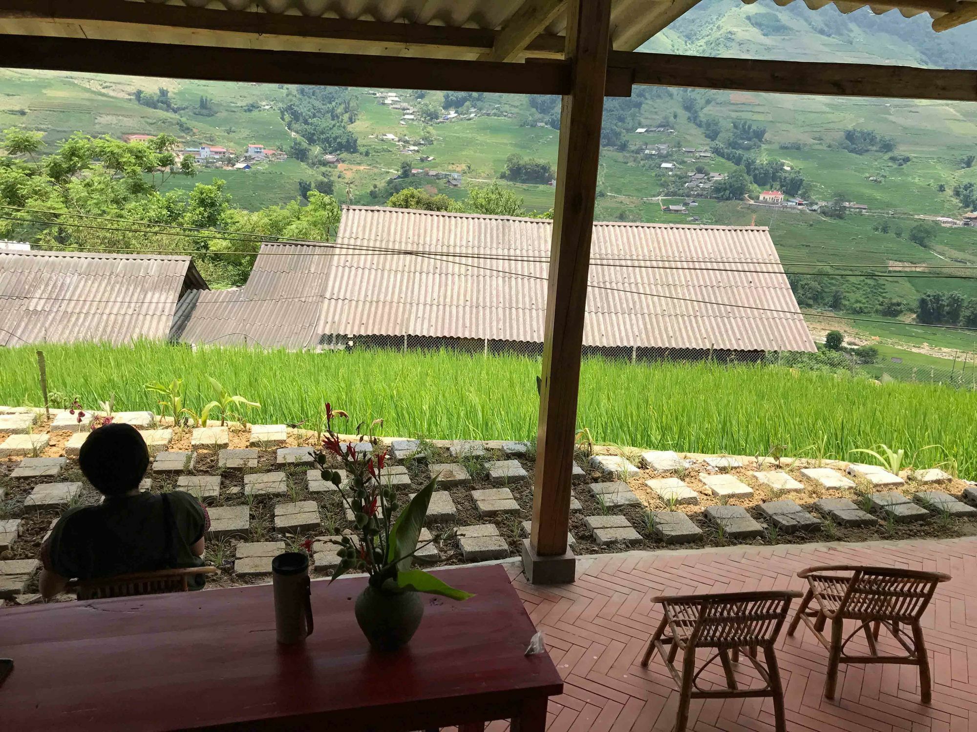 Phori'S House - Bamboo Forest Sapa Exteriör bild