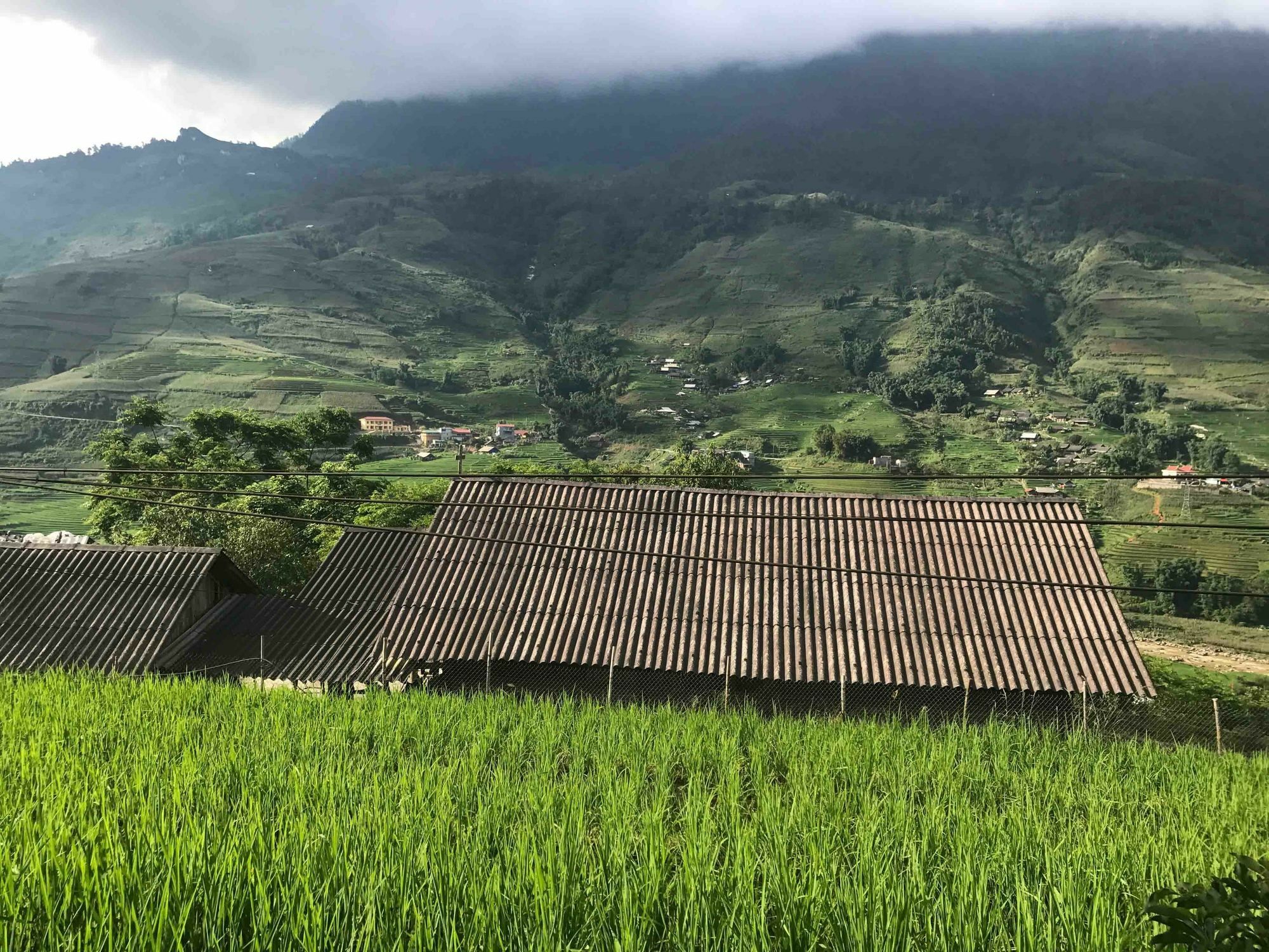 Phori'S House - Bamboo Forest Sapa Exteriör bild
